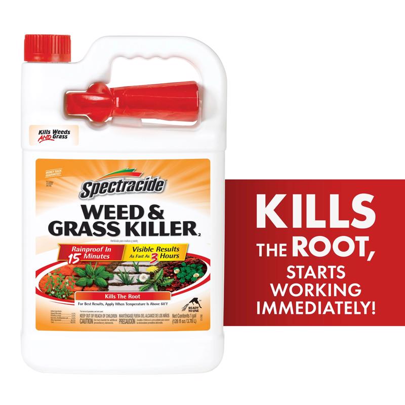 Spectracide Weed and Grass Killer RTU Liquid 1 gal - Case of 4