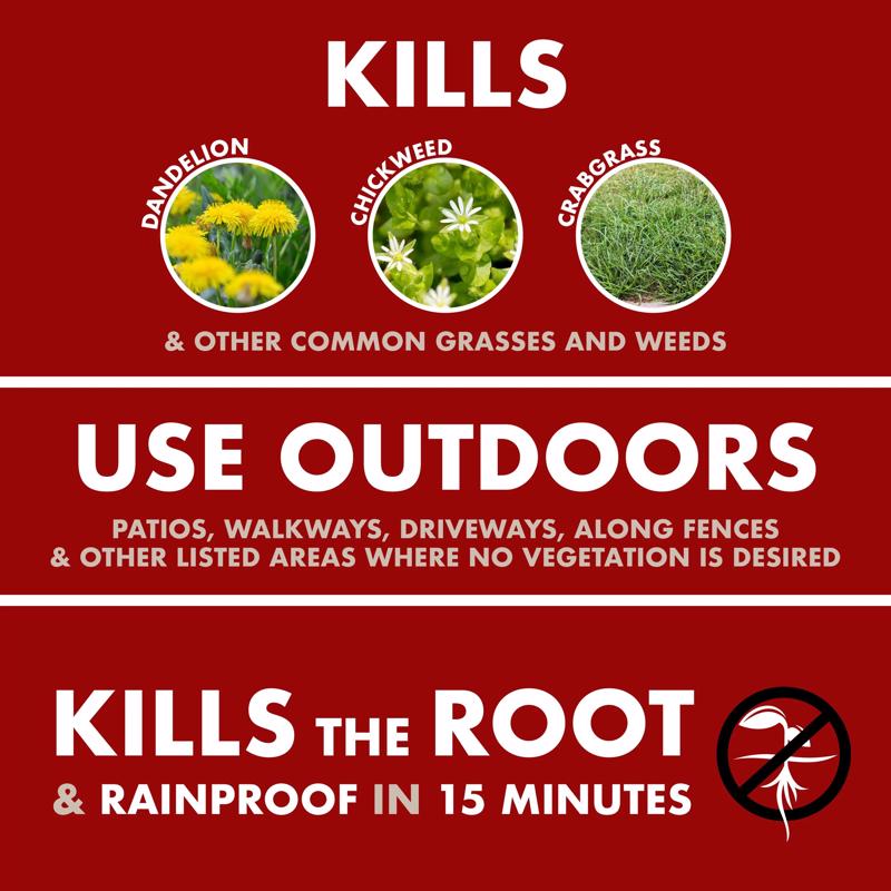 Spectracide Weed and Grass Killer RTU Liquid 1 gal - Case of 4