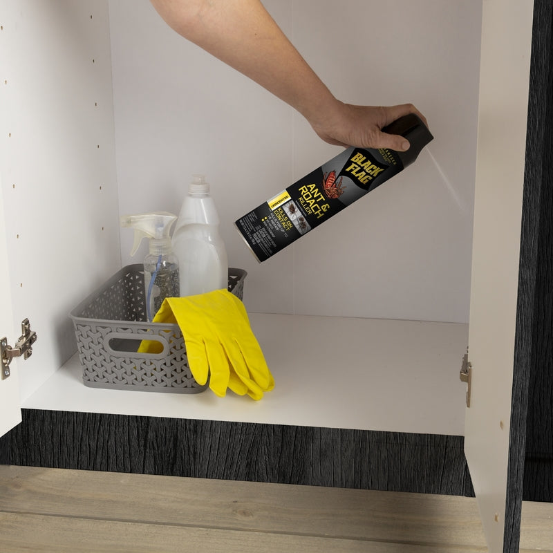 Black Flag Insect Killer Liquid 17.5 oz - Case of 12