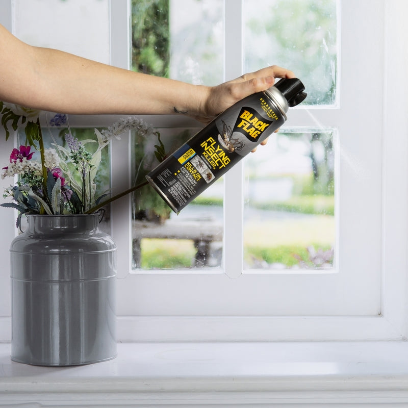 Black Flag Insect Killer Aerosol 18 oz - Case of 12