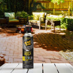 Black Flag Wasp and Hornet Killer Foam 14 oz - Case of 12