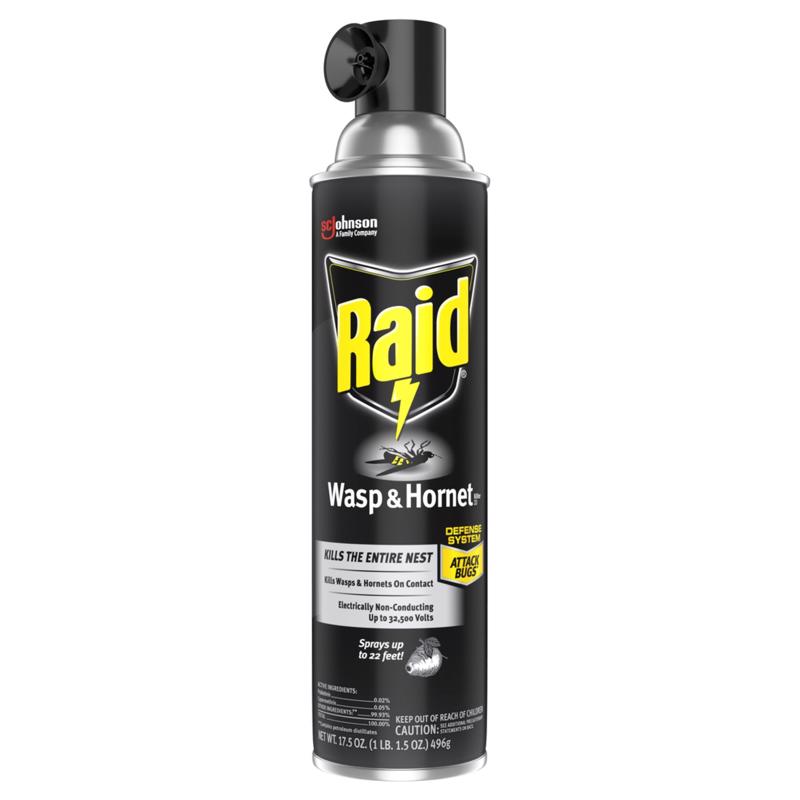 Raid Wasp and Hornet Killer Spray 17.5 oz - Case of 12