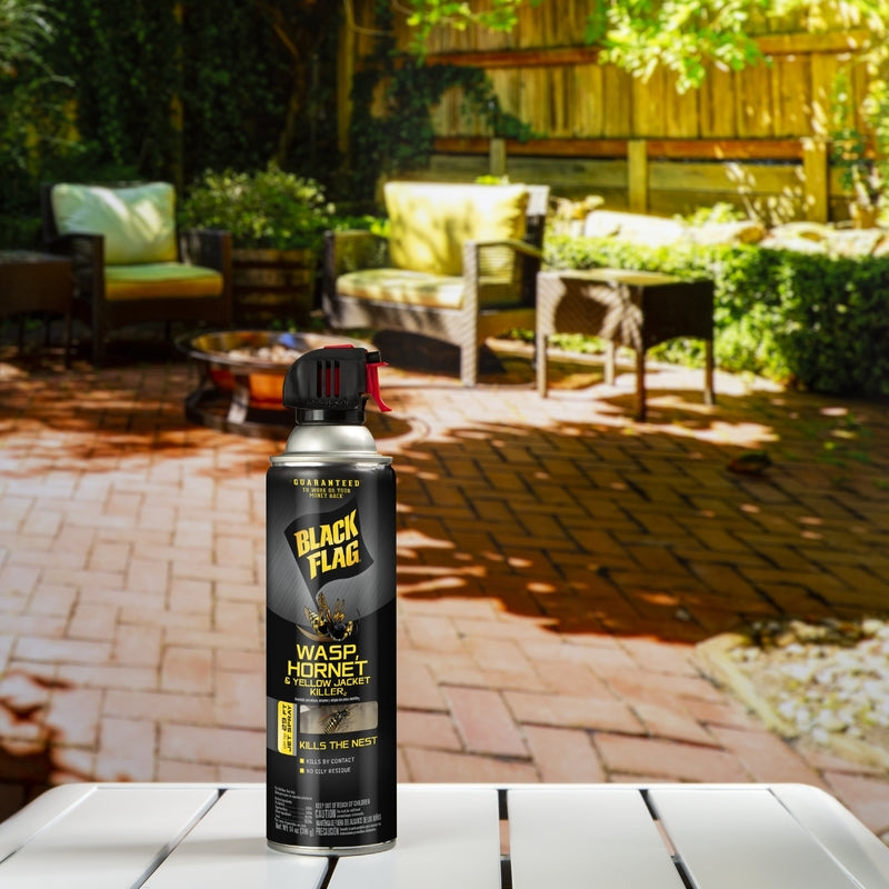 Black Flag Wasp and Hornet Killer Aerosol 14 oz - Case of 12