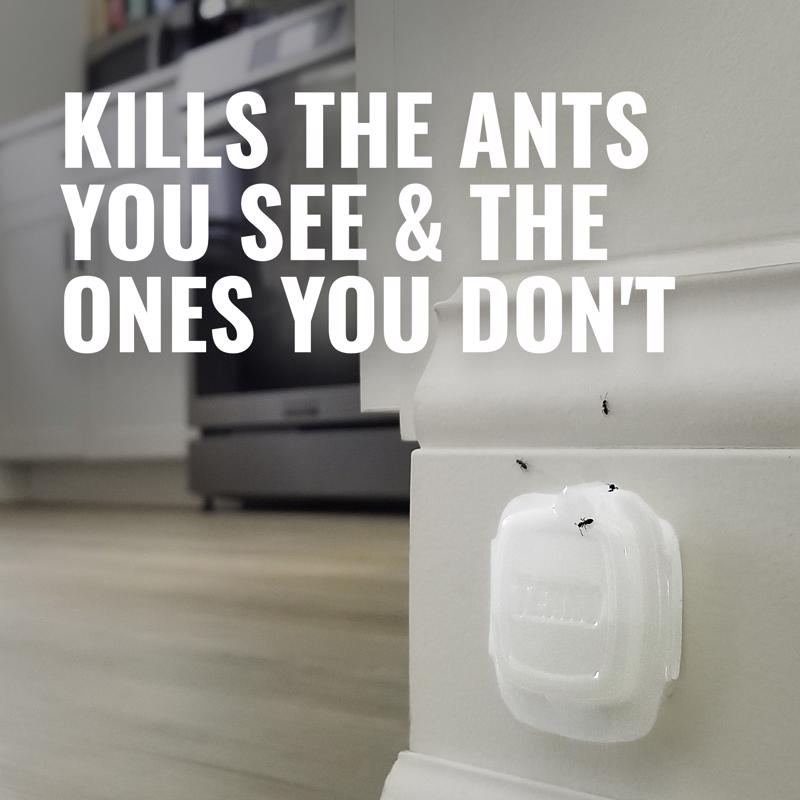 TERRO Ant Bait Station 4 pk
