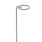 Panacea 24 in. H X 2 inch ft. W Green Steel Plant Support