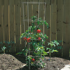 Panacea 54 in. H X 16 in. W Gray Steel Tomato Cage - Case of 25