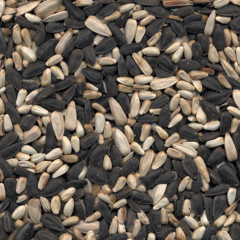 Kaytee Wild Bird Food 7 lb