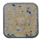 C&S Products Wild Bird Food 11.75 oz - Case of 12