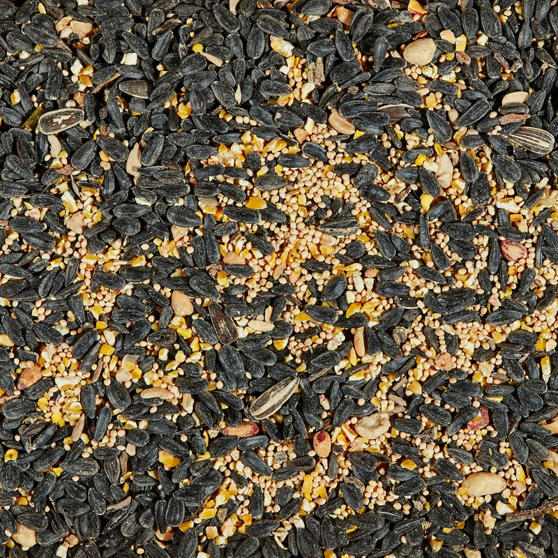 Kaytee Songbird Blend Wild Bird Food 7 lb - Case of 6
