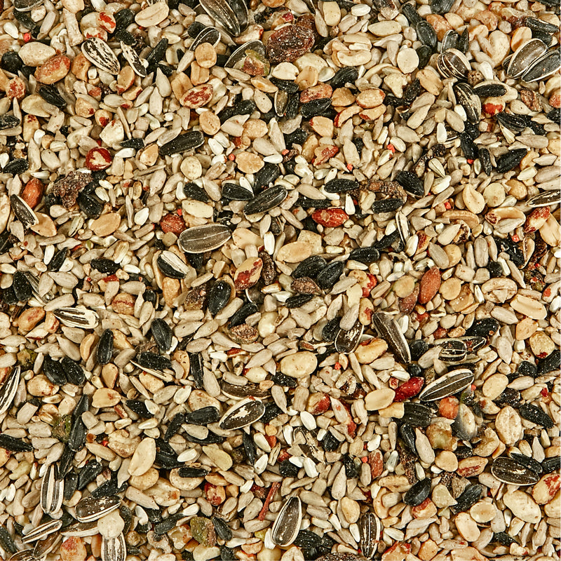 Kaytee Nut & Fruit Blend Wild Bird Food 5 lb - Case of 6