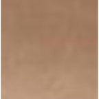 Traeger Pro Series 22 Wood Pellet Grill Bronze